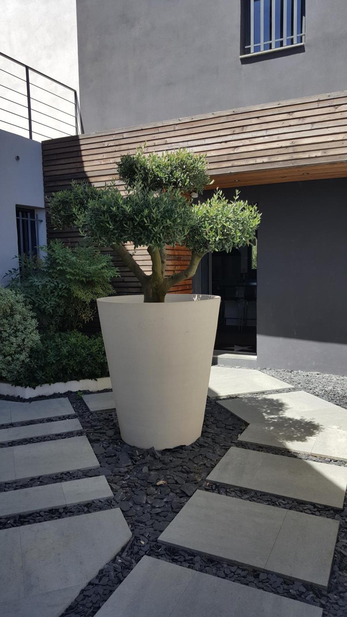 Villa Montpellier Dış mekan fotoğraf
